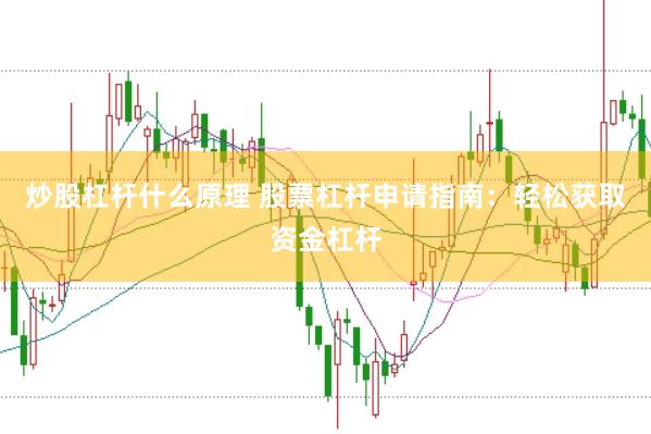 炒股杠杆什么原理 股票杠杆申请指南：轻松获取资金杠杆