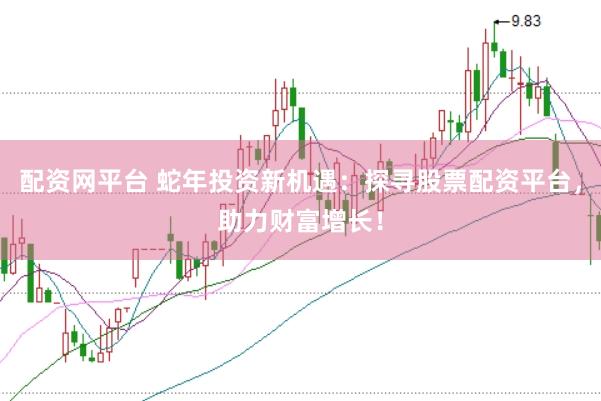 配资网平台 蛇年投资新机遇：探寻股票配资平台，助力财富增长！