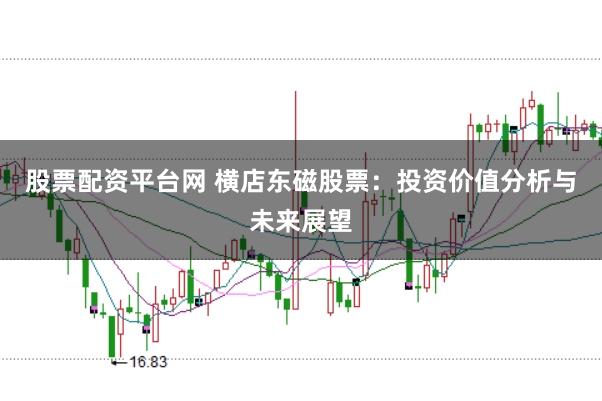 股票配资平台网 横店东磁股票：投资价值分析与未来展望