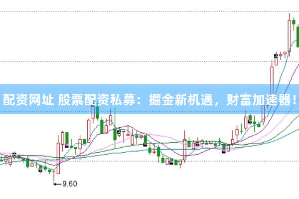配资网址 股票配资私募：掘金新机遇，财富加速器！