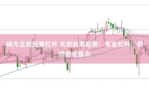 杨方正规股票杠杆 天启股票配资：专业杠杆，助您掘金股市