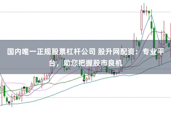 国内唯一正规股票杠杆公司 股升网配资：专业平台，助您把握股市良机