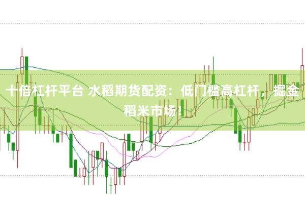 十倍杠杆平台 水稻期货配资：低门槛高杠杆，掘金稻米市场！