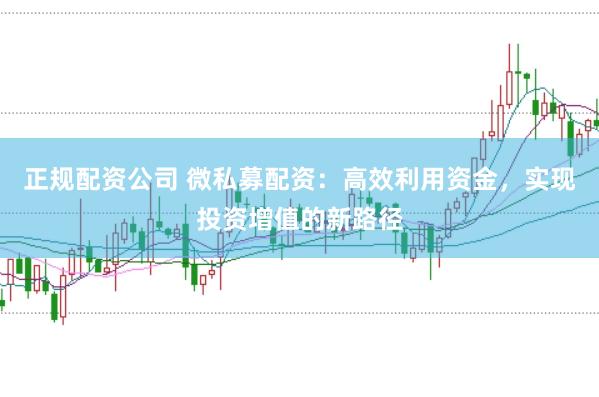 正规配资公司 微私募配资：高效利用资金，实现投资增值的新路径