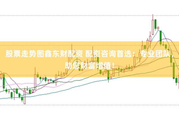 股票走势图鑫东财配资 配资咨询首选：专业团队，助您财富增值！