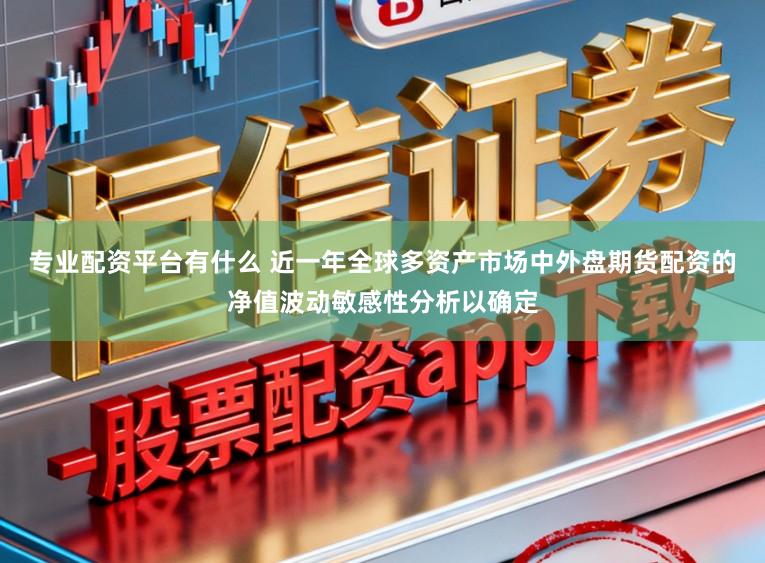 专业配资平台有什么 近一年全球多资产市场中外盘期货配资的净值波动敏感性分析以确定