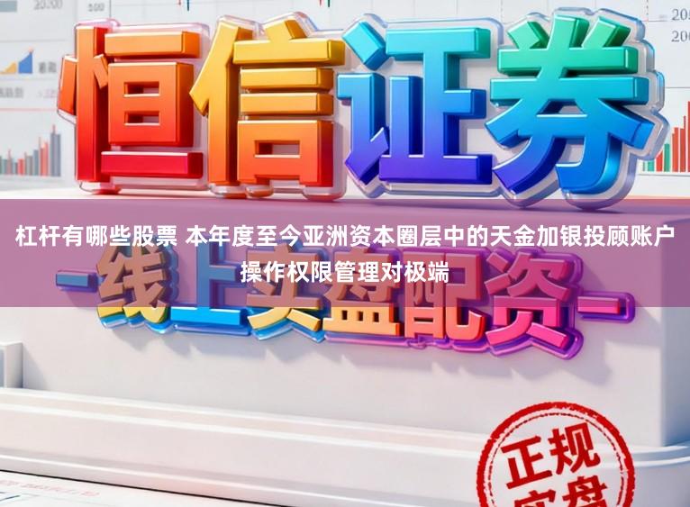 杠杆有哪些股票 本年度至今亚洲资本圈层中的天金加银投顾账户操作权限管理对极端